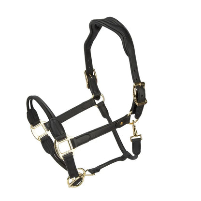 Velociti Lusso Soria Control Leather Headcollar