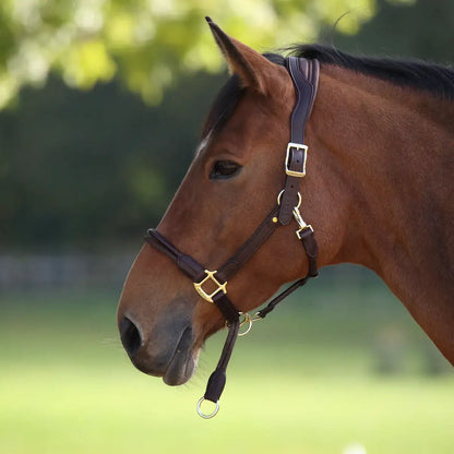 Velociti Lusso Soria Control Leather Headcollar