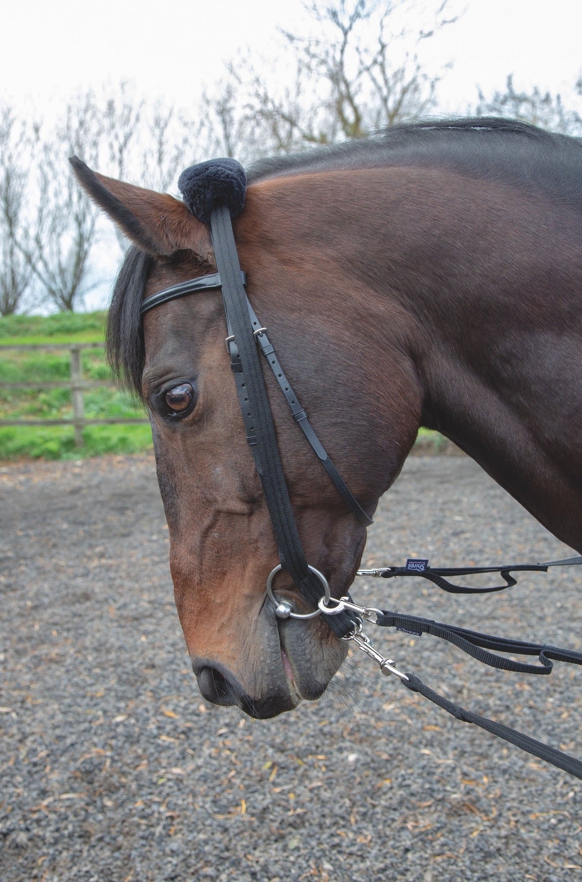 Shires Lunging Adapter - Black