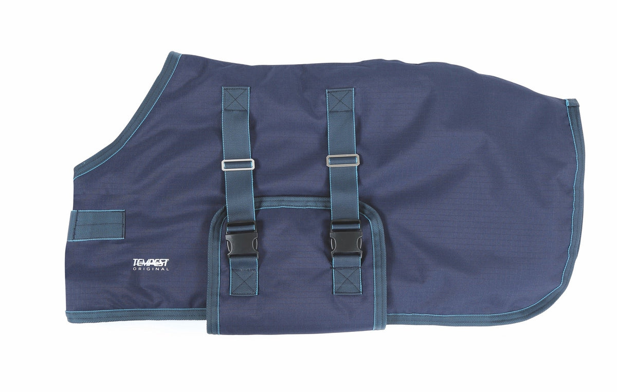 Tempest Original 200 Foal Turnout Rug - Navy/Turquoise