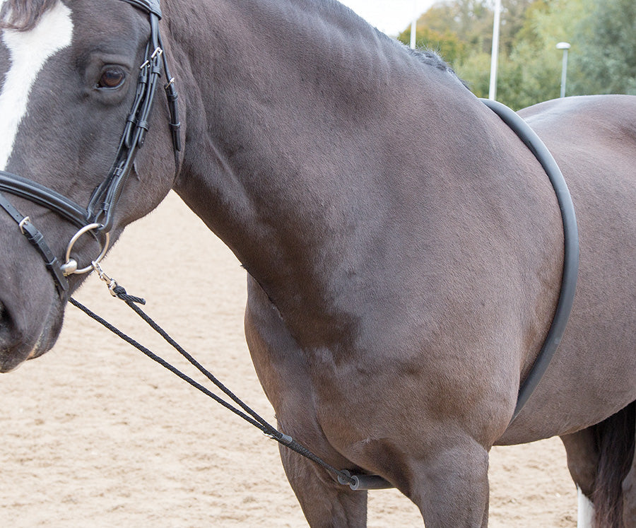 Shires Soft Lunging Aid - Black