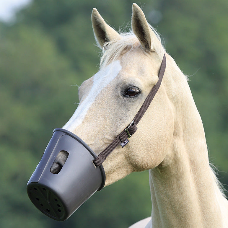 Shires Plastic Muzzle - Brown