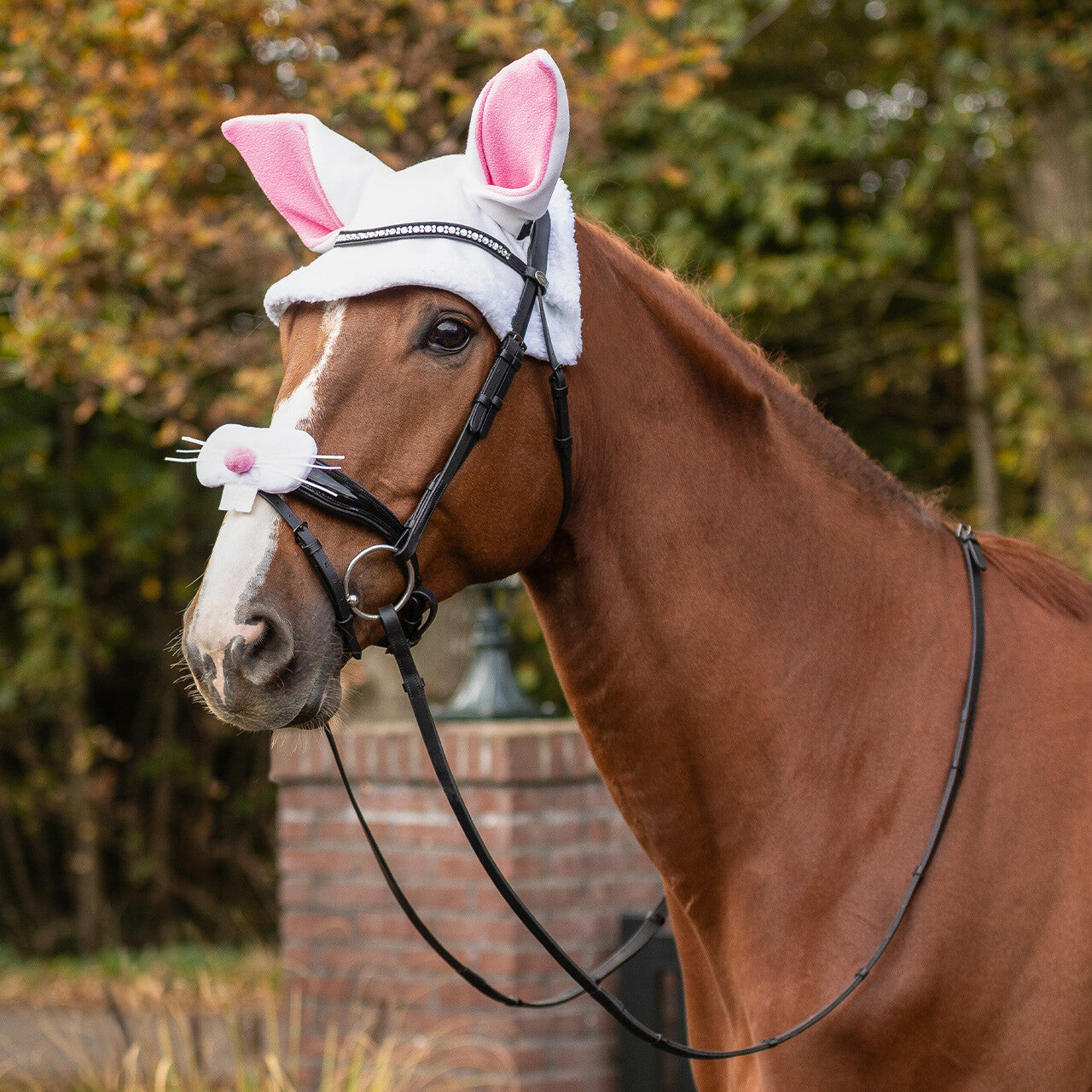 QHP Easter Bunny Ears Horse