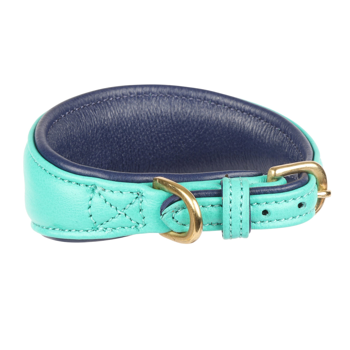 Digby & Fox Padded Leather Greyhound Collar - Teal