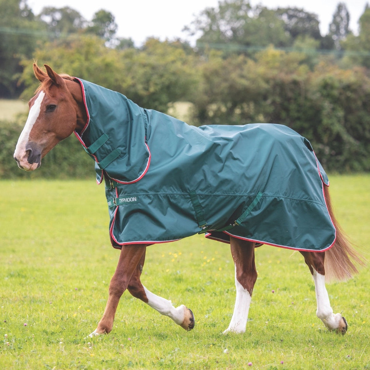 Typhoon Lite Turnout Rug - Green