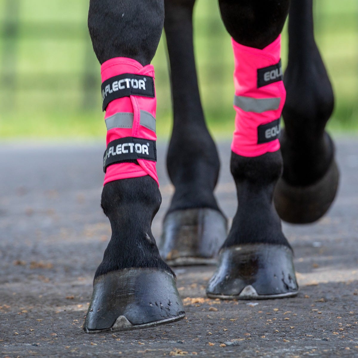 EQUI-FLECTOR® Wraps - Pink