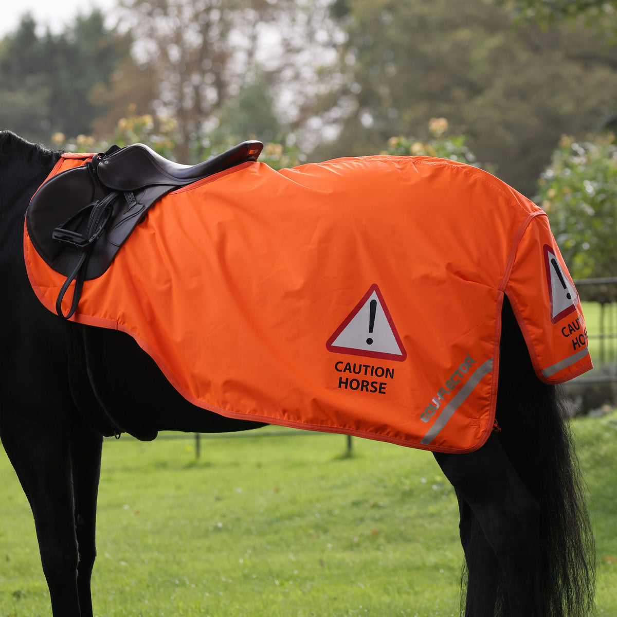 EQUI-FLECTOR® Waterproof Exercise Sheet - Orange