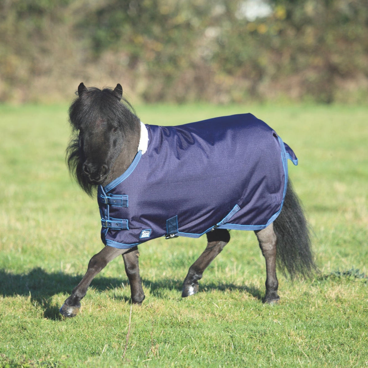 Tempest Original 200 Mini Turnout Rug - Navy/Turquoise