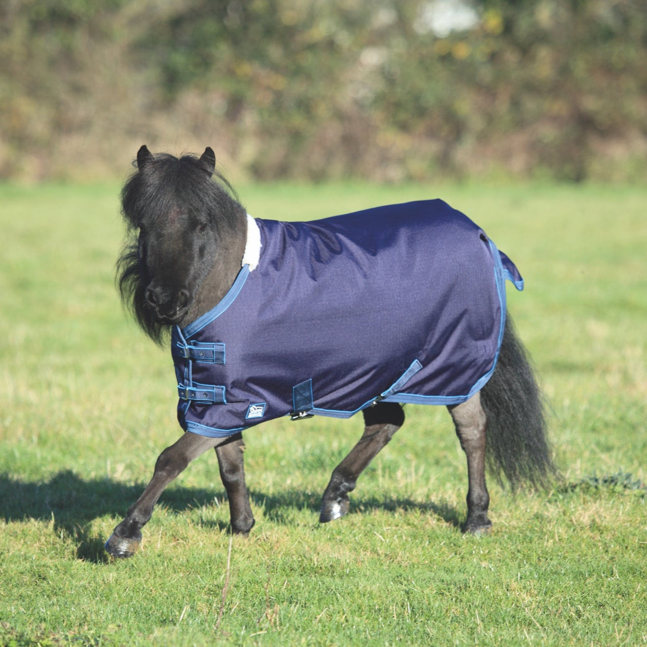 Tempest Original 200 Mini Turnout Rug - Navy/Turquoise