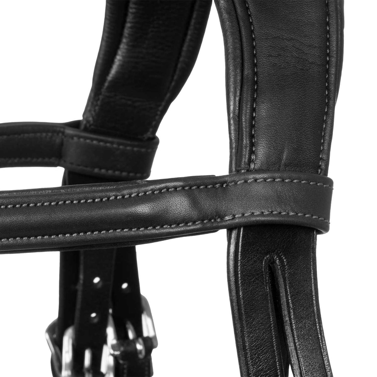 Acavallo Filosofia bridle calfskin