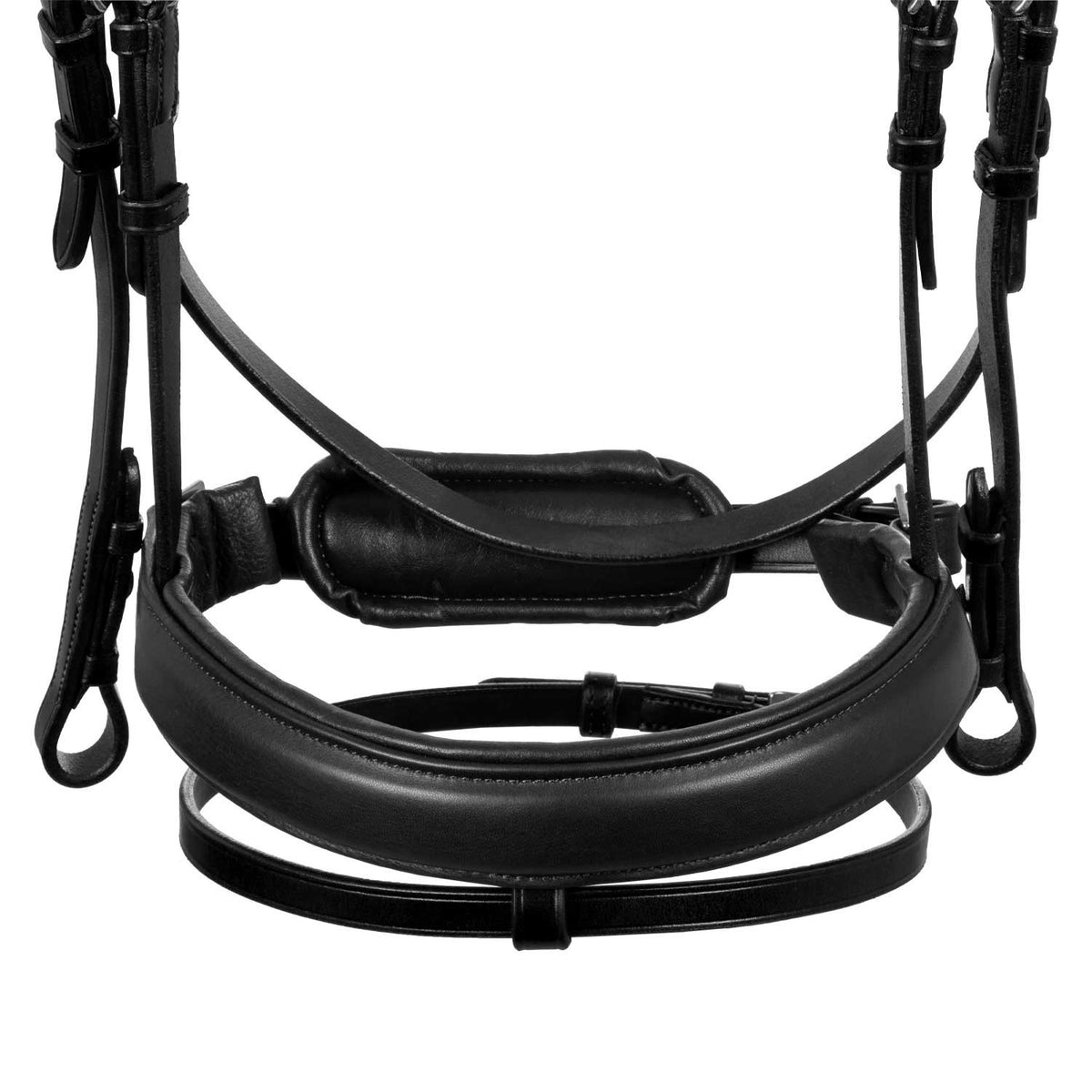 Acavallo Filosofia bridle calfskin