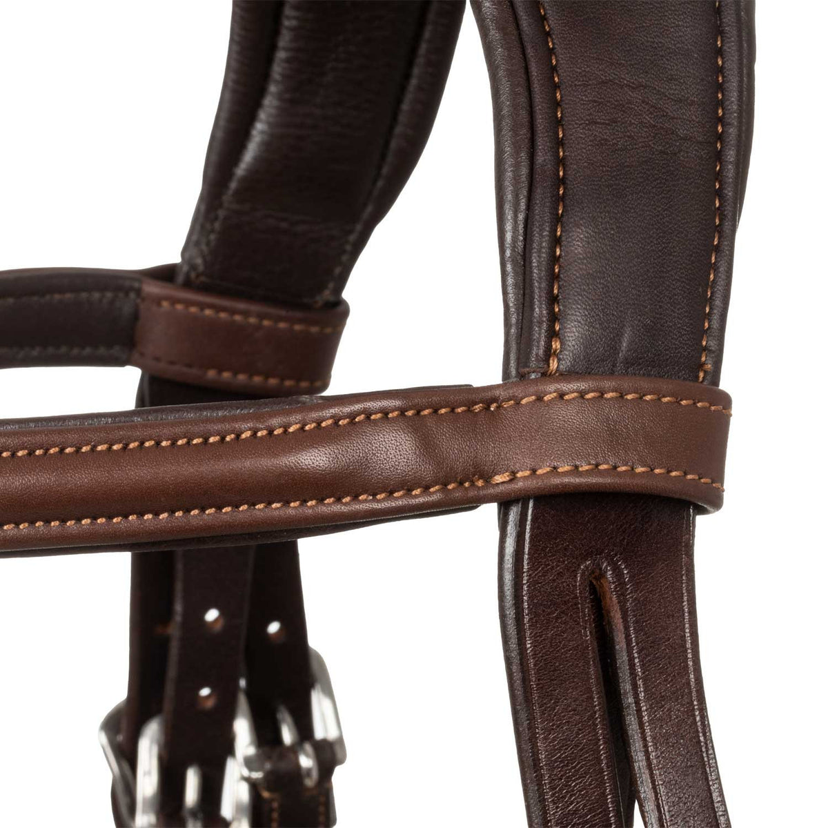 Acavallo Filosofia bridle calfskin
