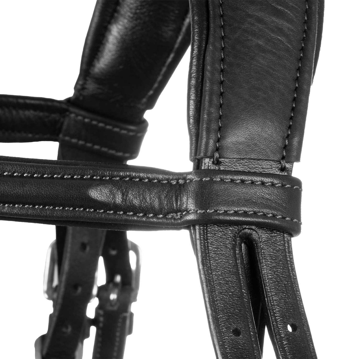 Acavallo Primavera bridle calfskin