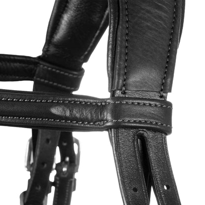 Acavallo Primavera bridle calfskin