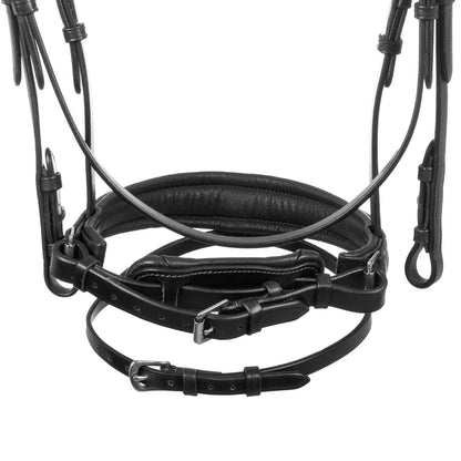 Acavallo Primavera bridle calfskin
