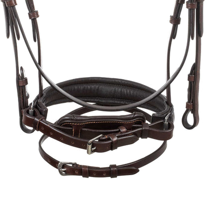 Acavallo Primavera bridle calfskin