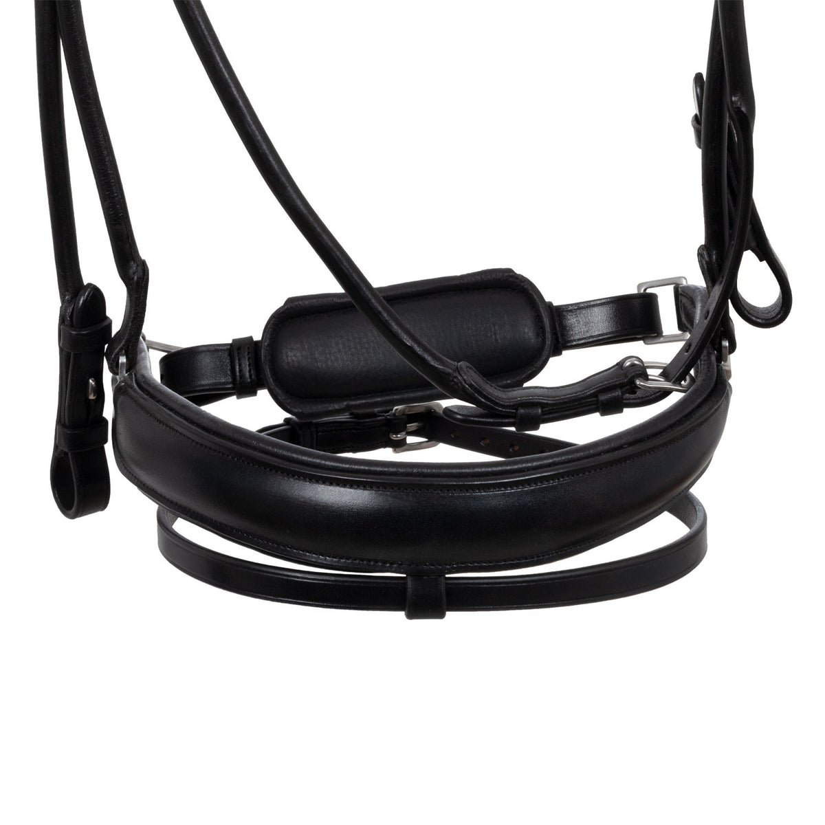 Acavallo Fornarina bridle laminated calfskin
