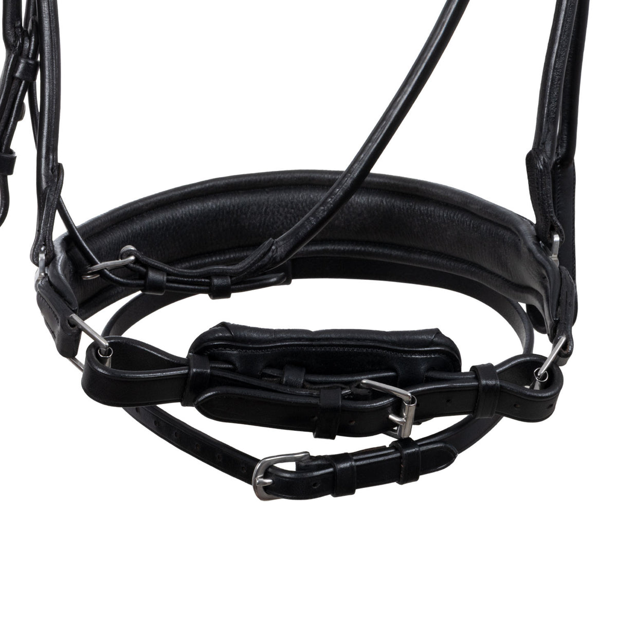 Acavallo Fornarina bridle laminated calfskin