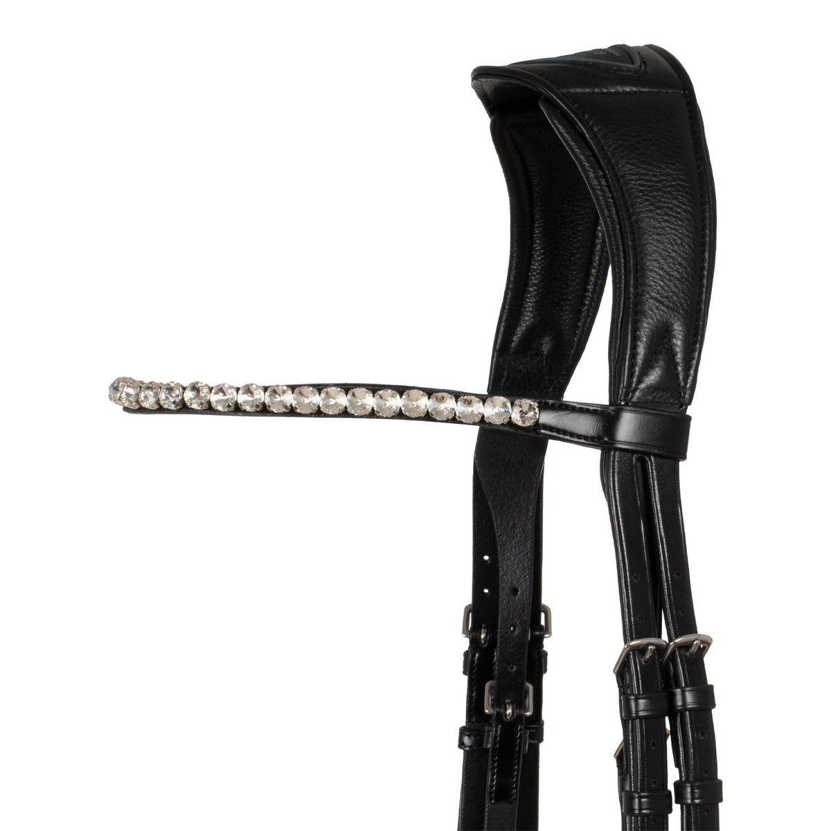 Acavallo Starry night calfskin bridle