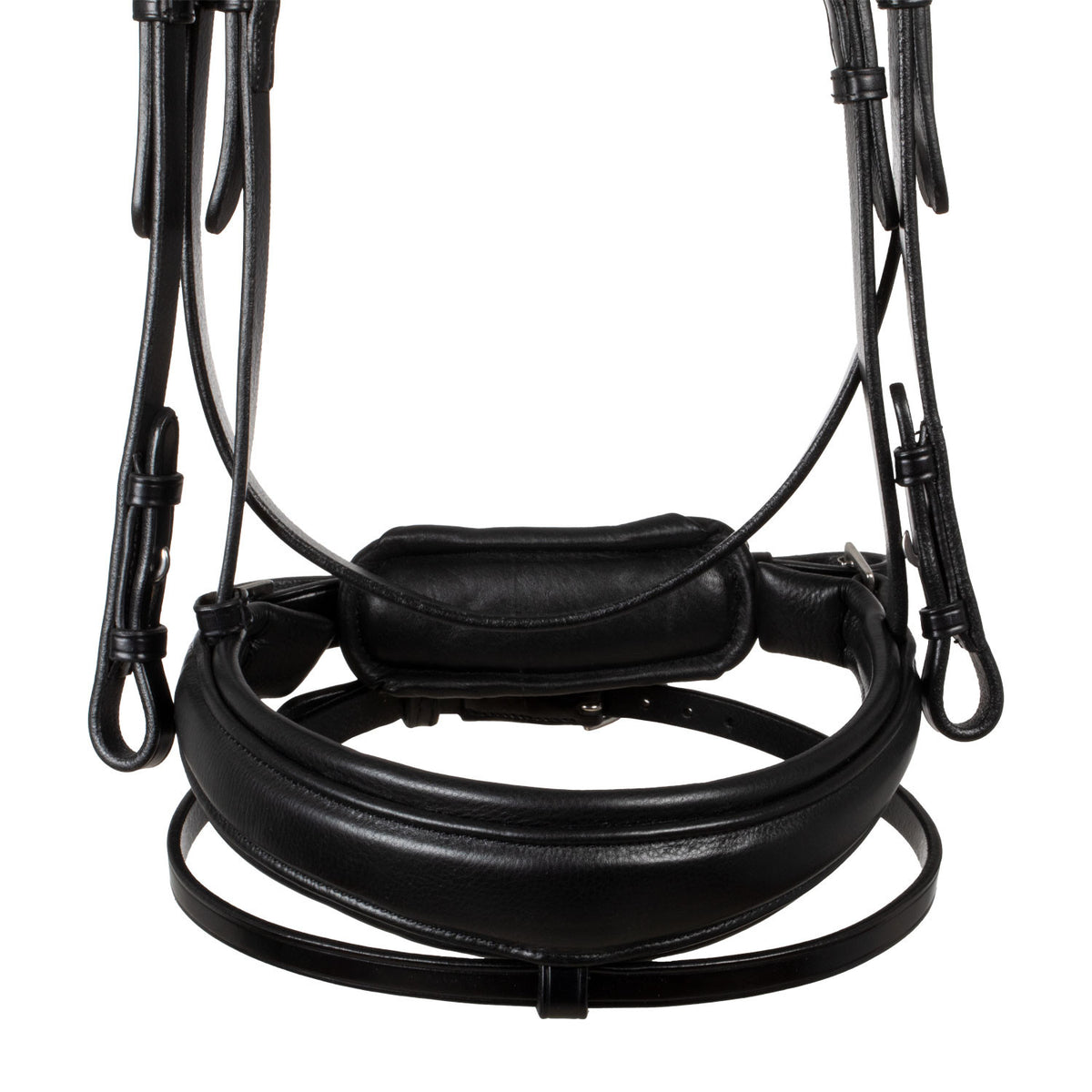 Acavallo Starry night calfskin bridle