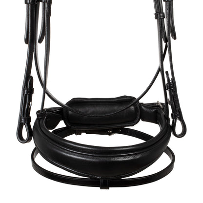 Acavallo Starry night calfskin bridle
