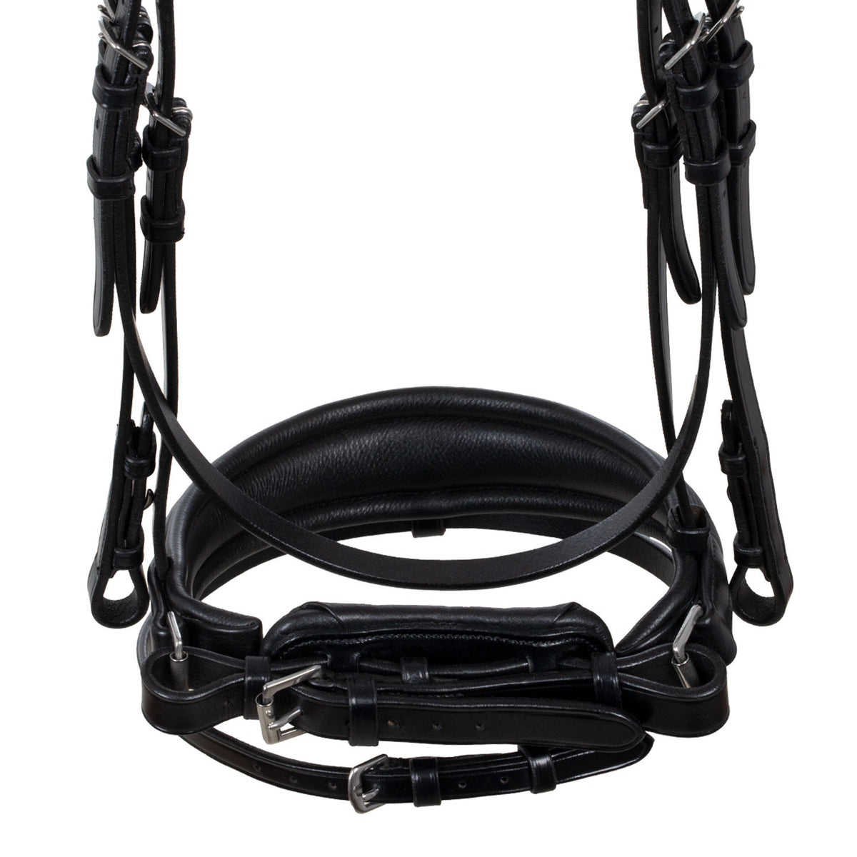 Acavallo Starry night calfskin bridle