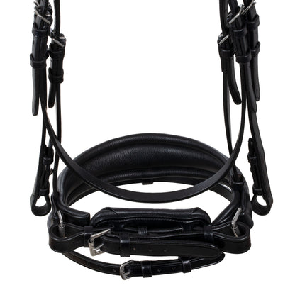 Acavallo Starry night calfskin bridle