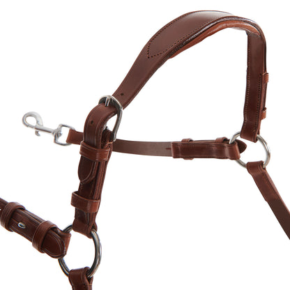 Acavallo Five-point breastplate calfskin