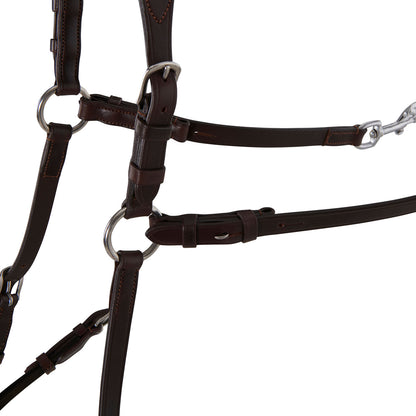Acavallo Five-point breastplate calfskin