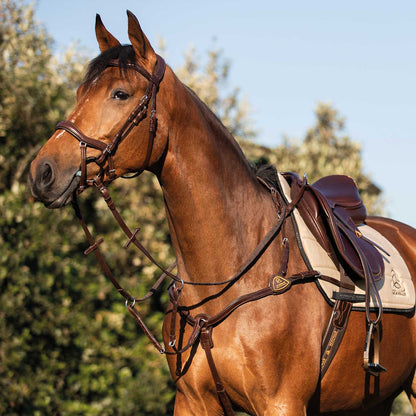 Acavallo Five-point breastplate calfskin