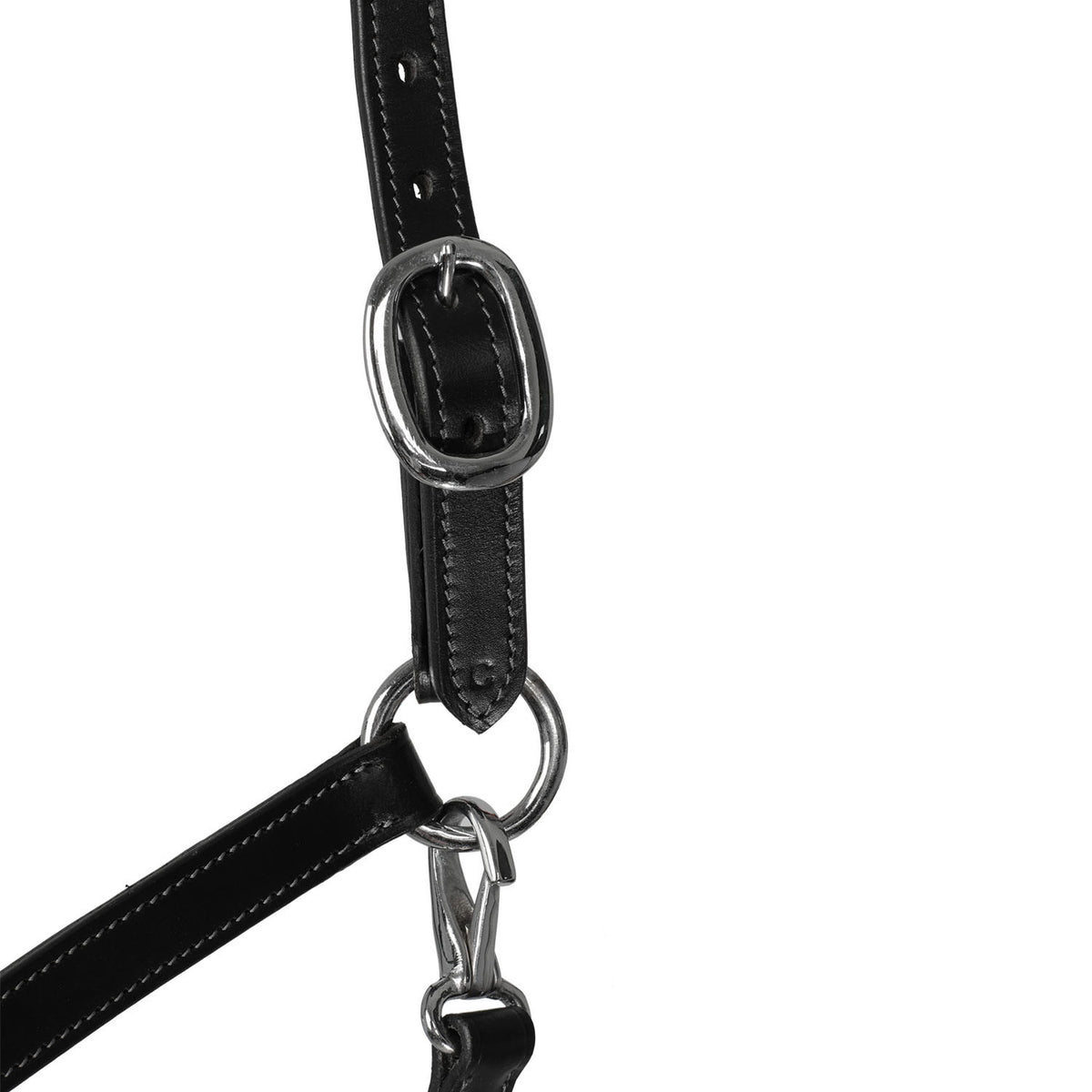Acavallo Halter anatomical leather rope noseband