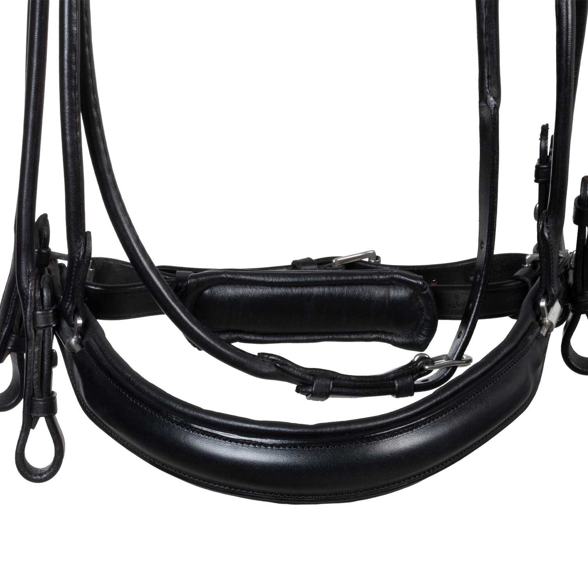Acavallo Parnaso bridle double reins