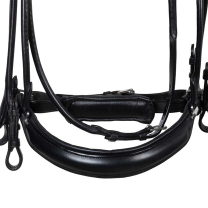 Acavallo Parnaso bridle double reins