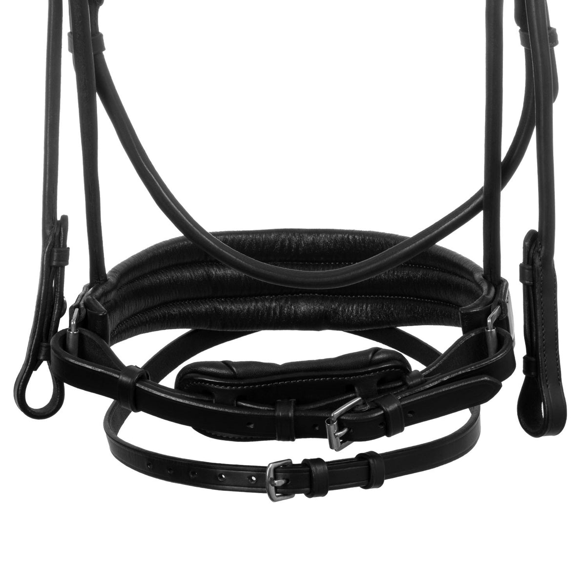 Acavallo Damigella bridle calfskin