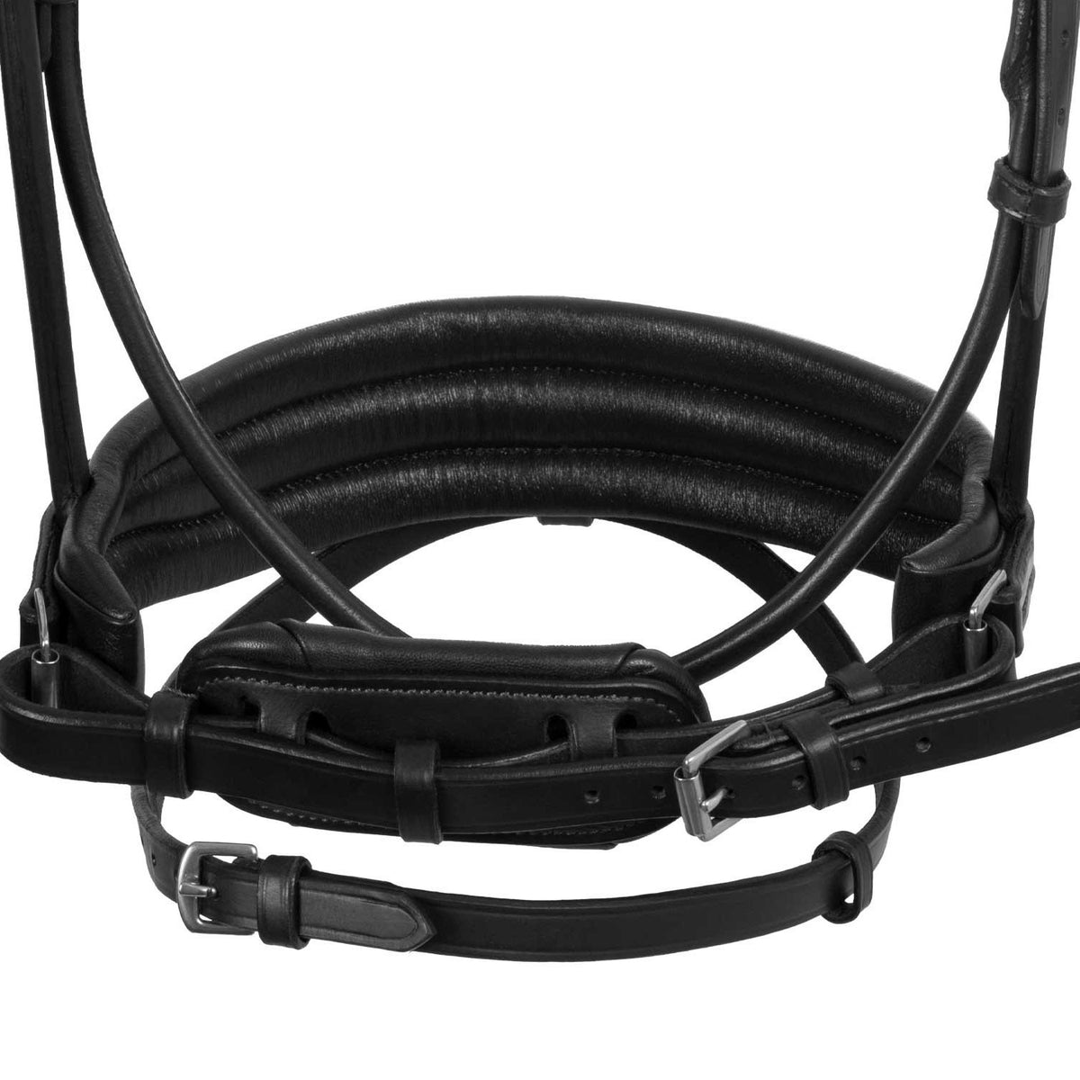 Acavallo Dalila bridle calfskin