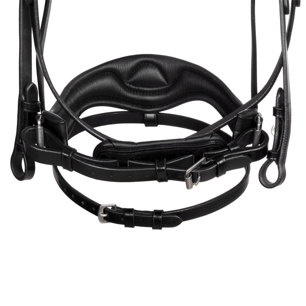 Acavallo Moulin Rouge calfskin bridle