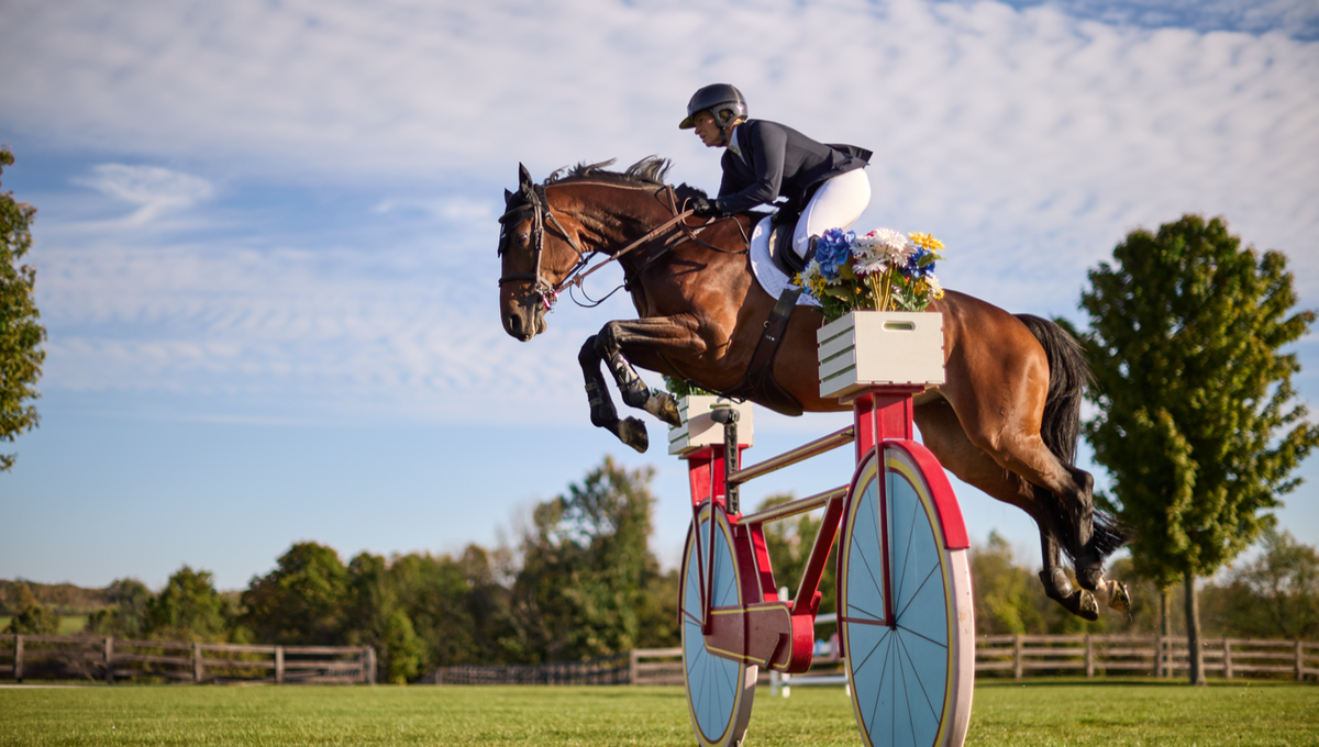 Ariat Rider Ariat | Footwear, Riding and Casual Wear | Ayr Equestrian – tagged ...