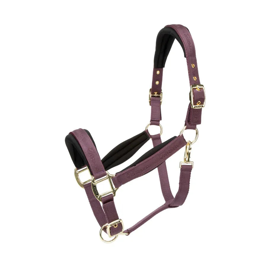 Arma Padded Headcollar