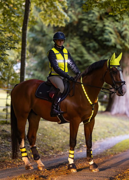 Woof Wear 3-in-1 Rider Safety Lights
