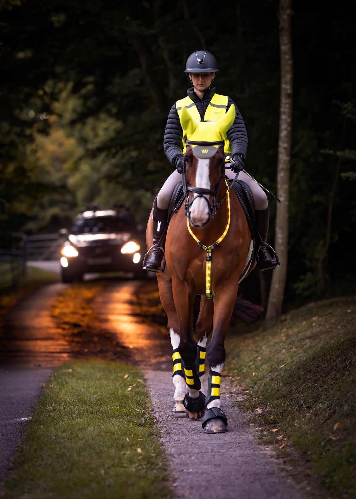 Woof Wear 3-in-1 Rider Safety Lights