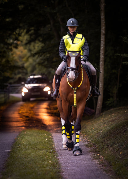 Woof Wear 3-in-1 Rider Safety Lights