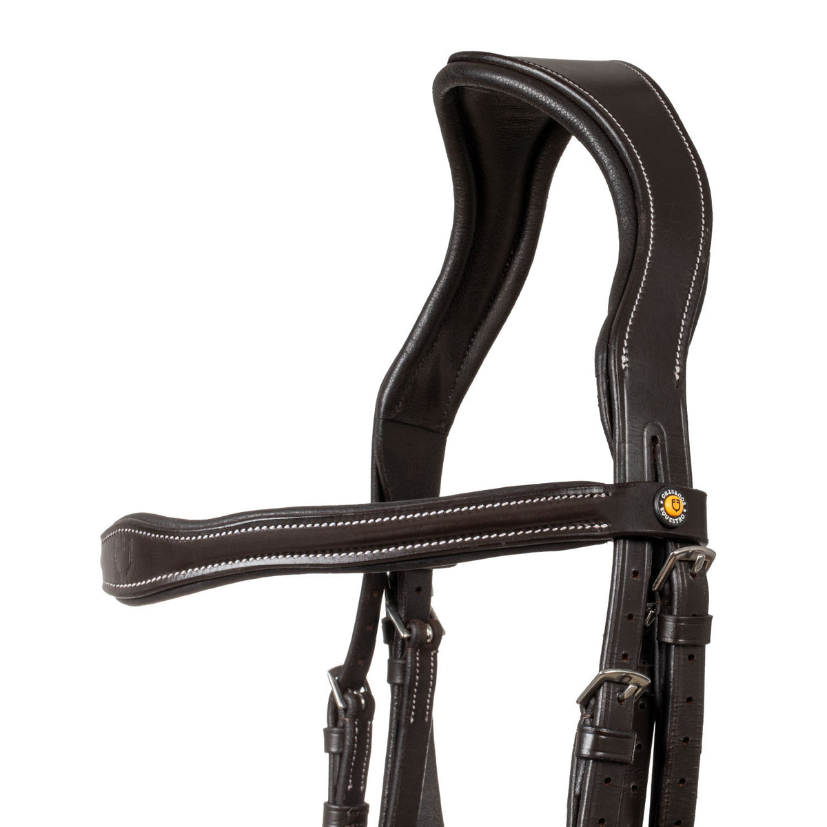 Equestro Anatomical bridle with logo
