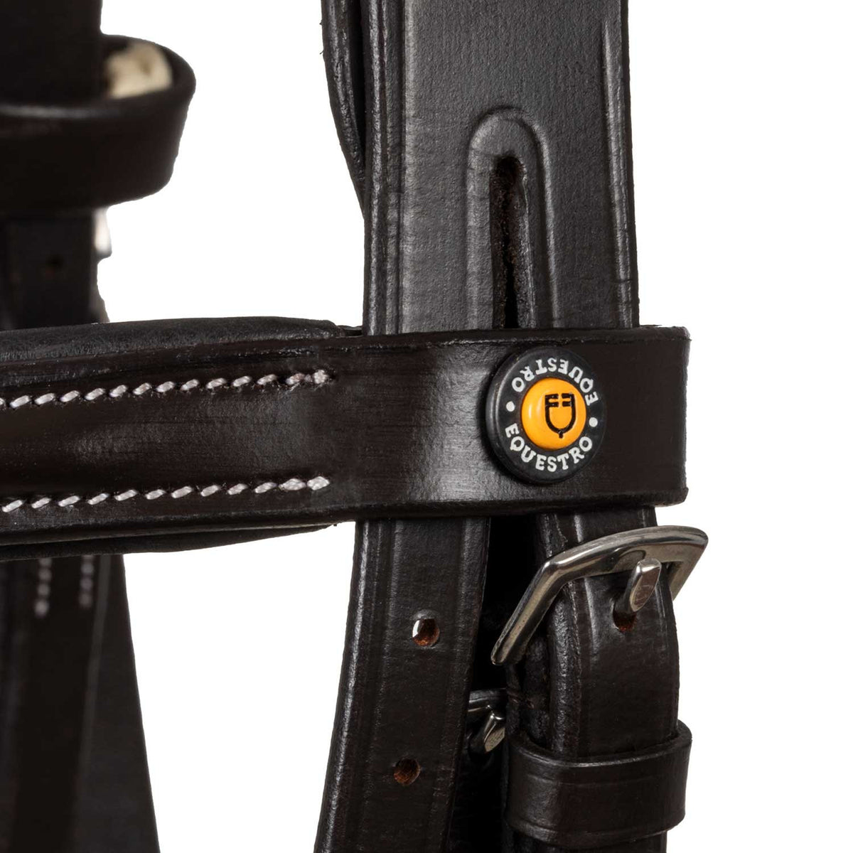 Equestro Anatomical bridle with logo
