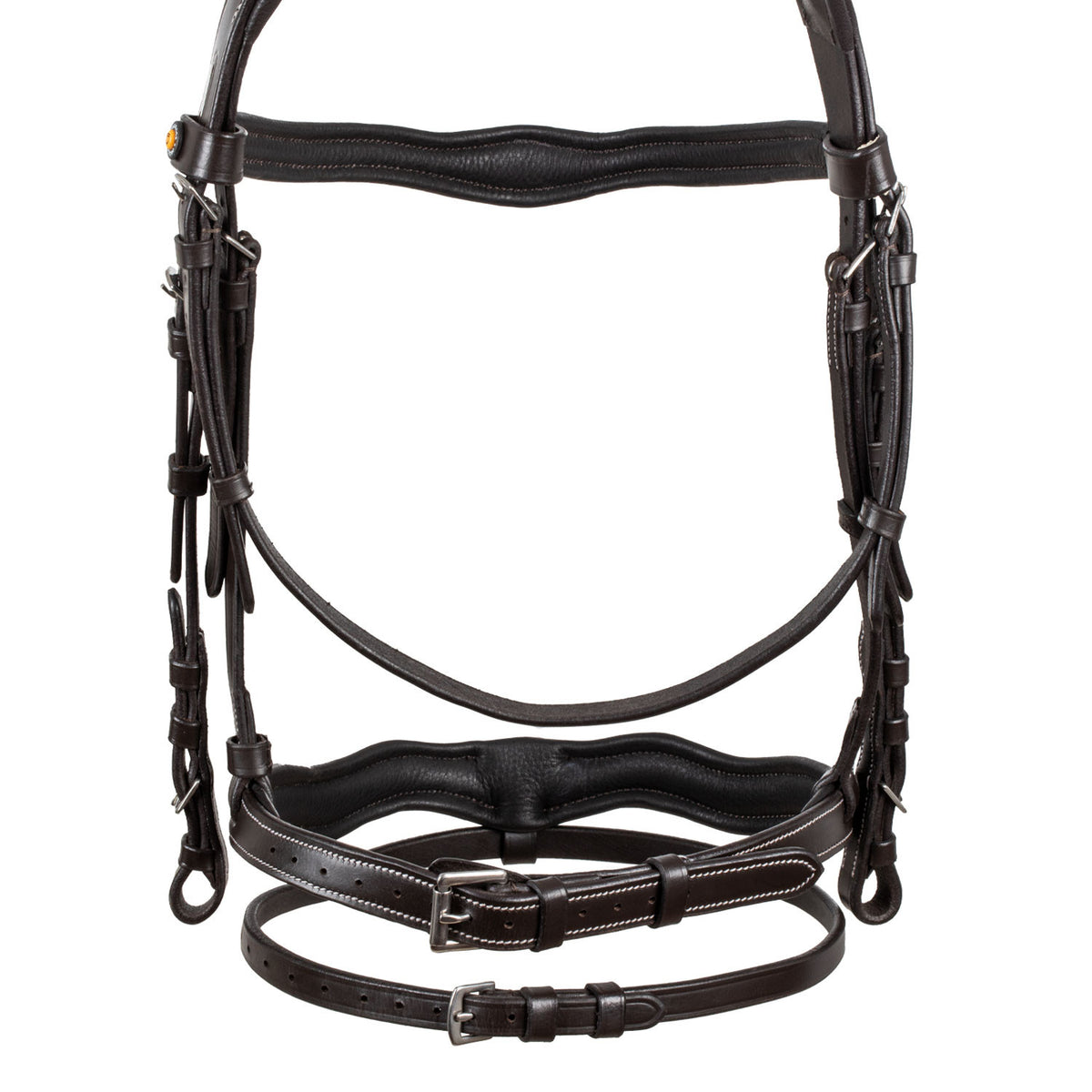 Equestro Anatomical bridle with logo