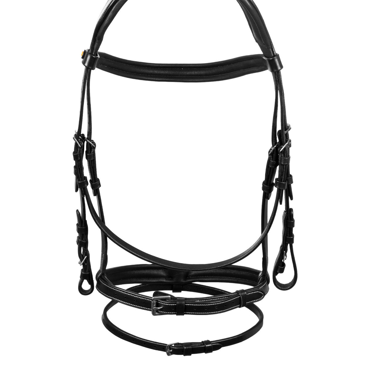 Equestro Raised and padded anatomical bridle