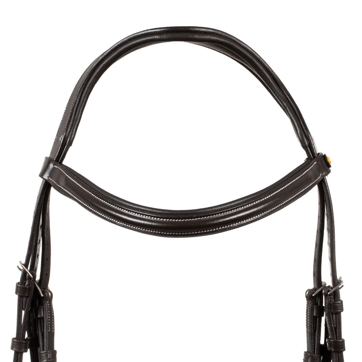 Equestro Raised and padded anatomical bridle