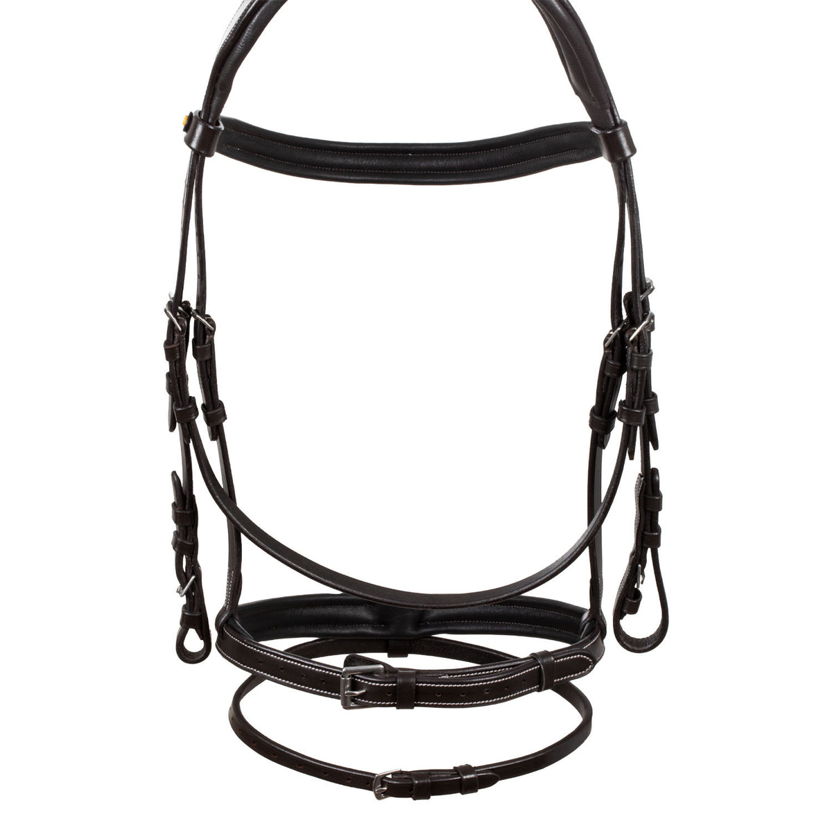 Equestro Raised and padded anatomical bridle