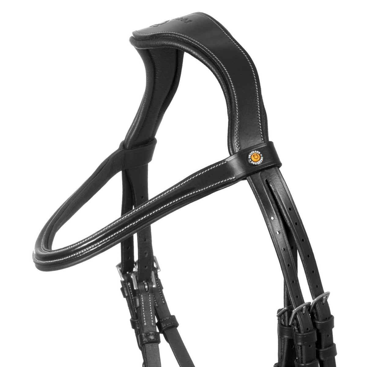 Equestro Anatomical bridle with curved noseband