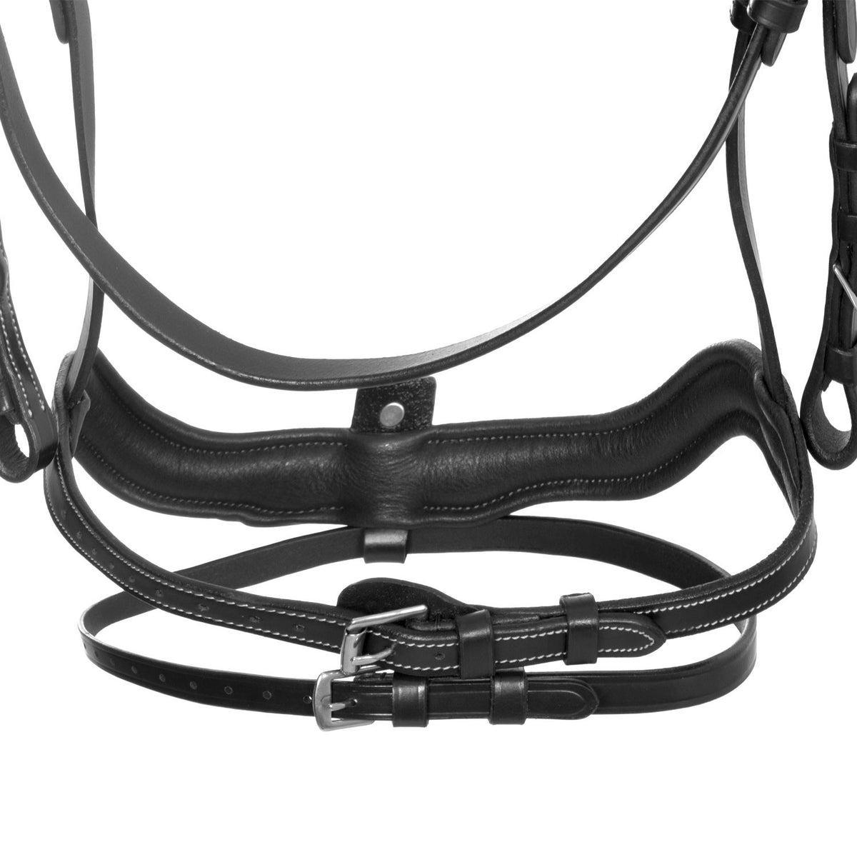 Equestro Anatomical bridle with curved noseband