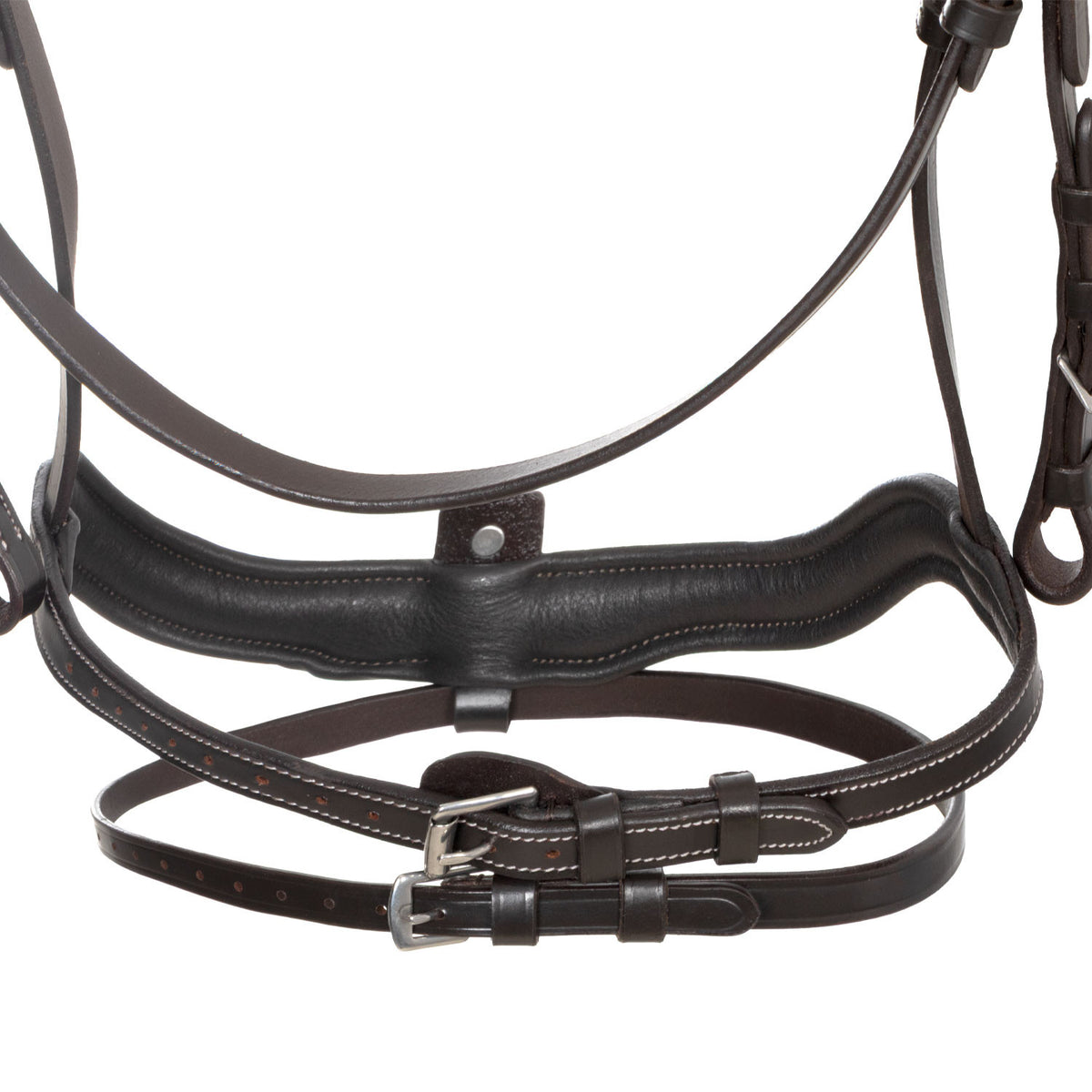 Equestro Anatomical bridle with curved noseband